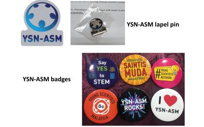 YSN-ASM Lapel Pin