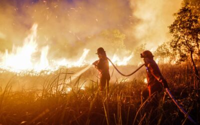 Haze, Fire and Volcanoes: What’s in Our Air?